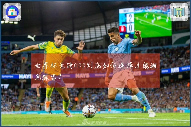 世界杯竞猜app到底如何选择才能避免踩雷？