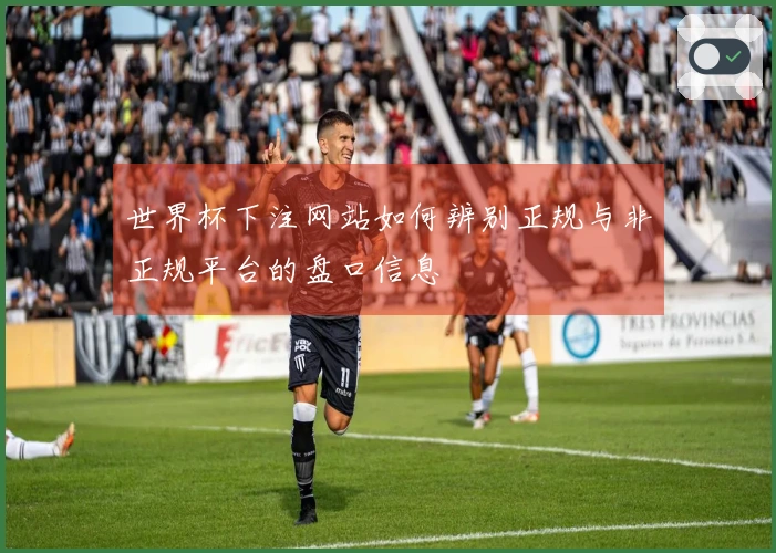 世界杯下注网站如何辨别正规与非正规平台的盘口信息
